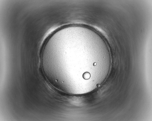 X0000086931271200704301110