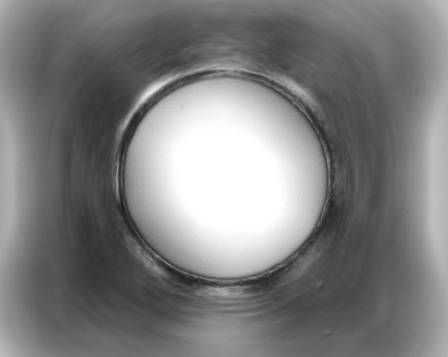 X0000086931272200704301110