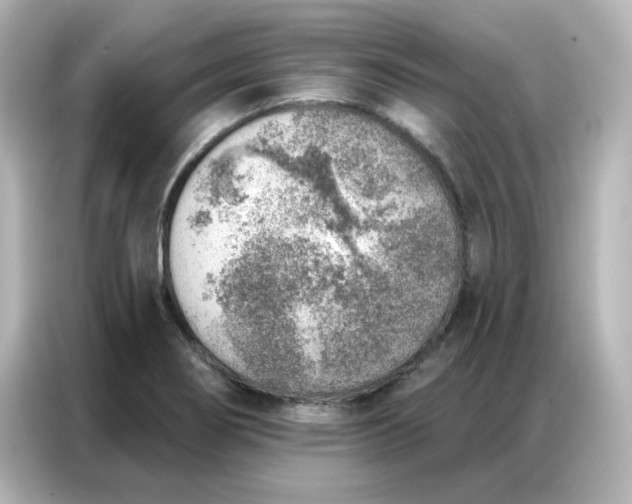 X0000086931274200704301110