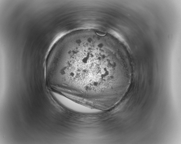 X0000086931275200704301110