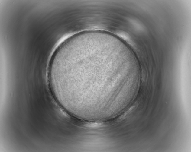 X0000086931278200704301110