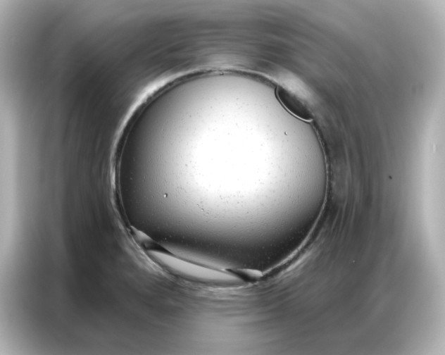 X0000086931280200704301110