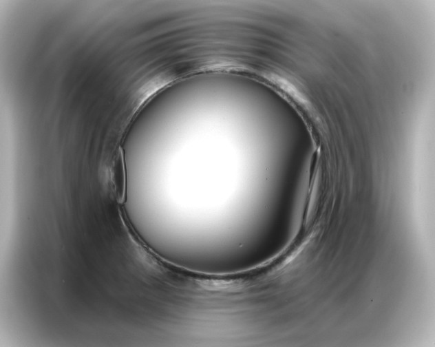 X0000086931281200704301110