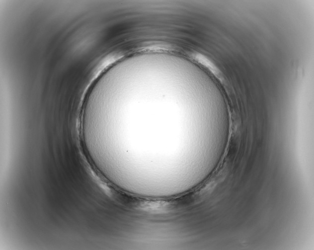 X0000086931282200704301110