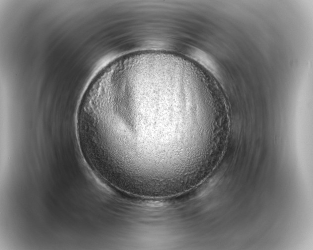 X0000086931283200704301110