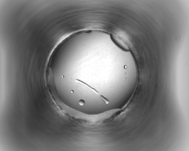 X0000086931284200704301110