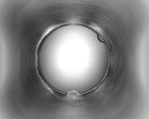 X0000086931286200704301110