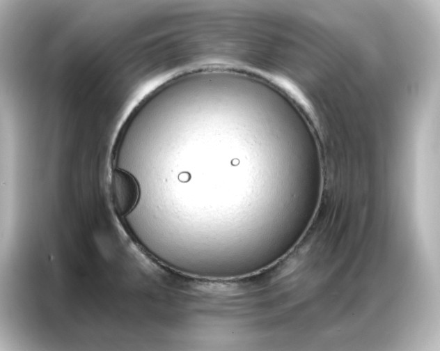 X0000086931287200704301110