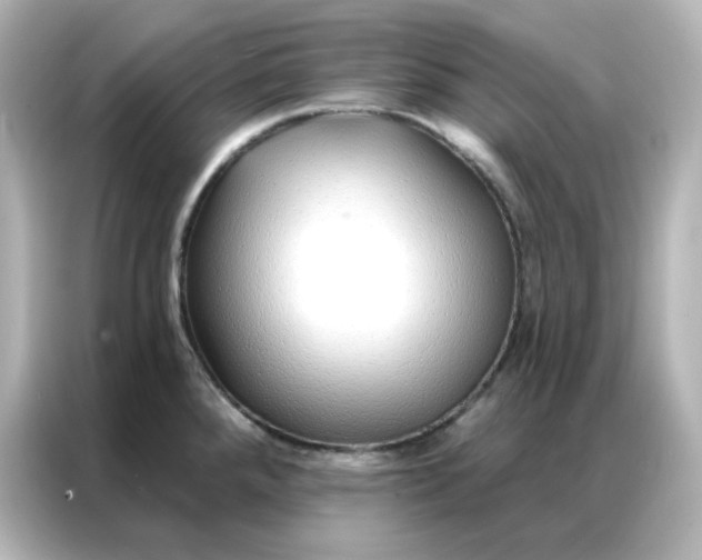 X0000086931288200704301110