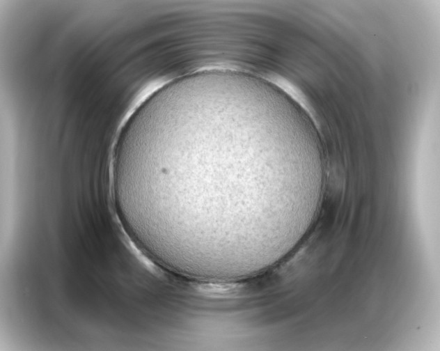 X0000086931290200704301109