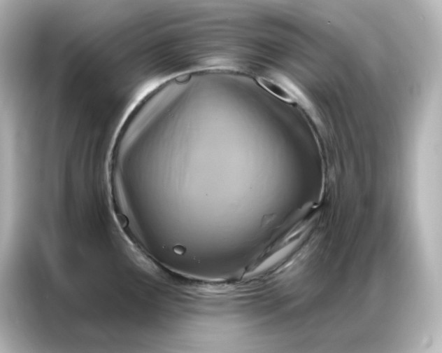 X0000086931291200704301109