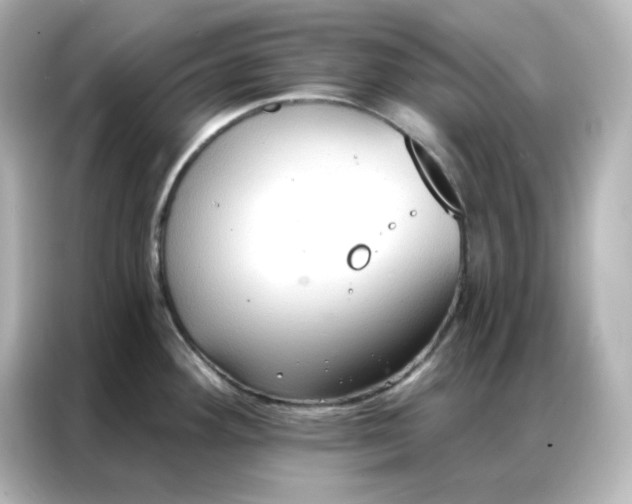 X0000086931292200704301109