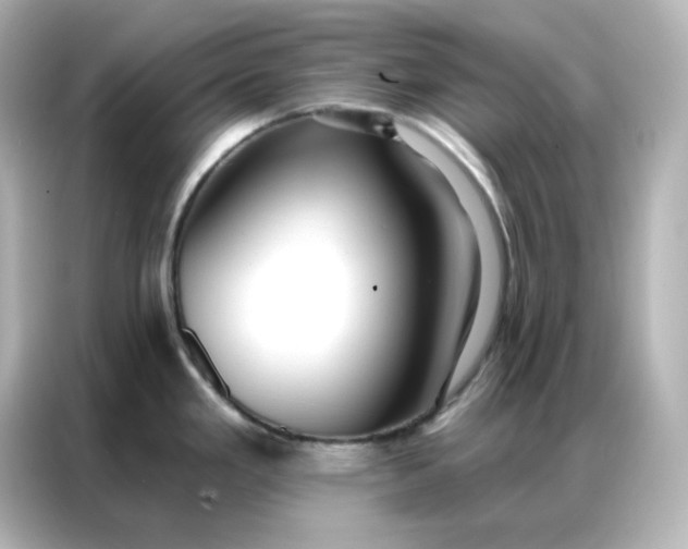 X0000086931293200704301109