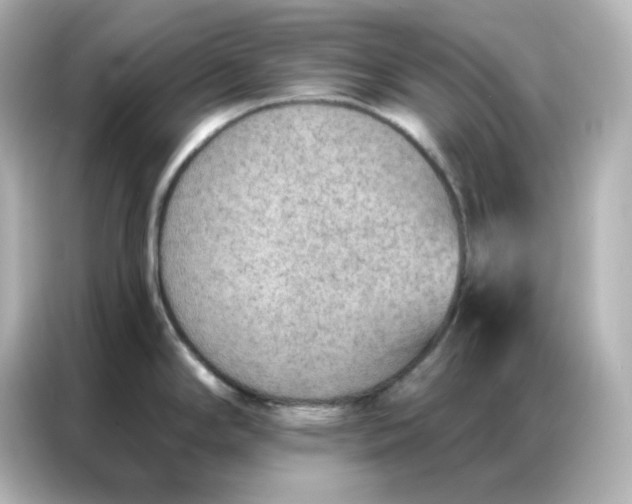 X0000086931294200704301109