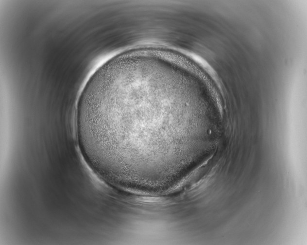 X0000086931295200704301109