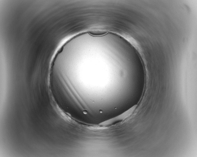 X0000086931296200704301109