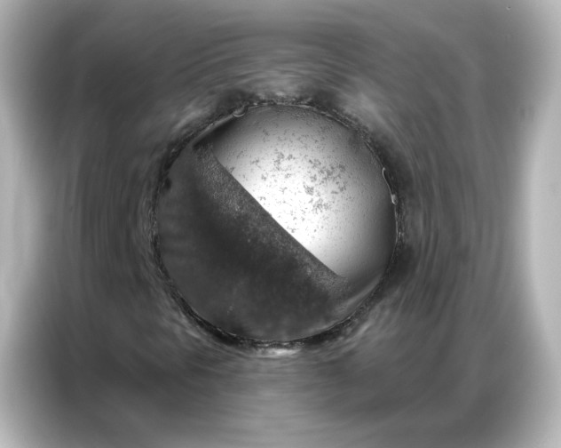 X0000086931297200704301109