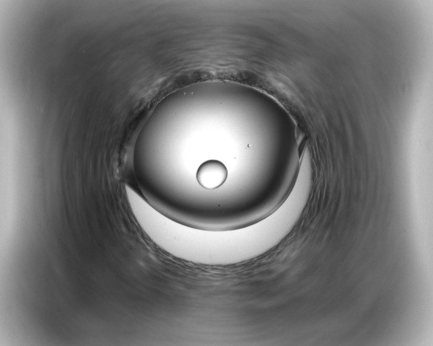 X0000086931298200704301109