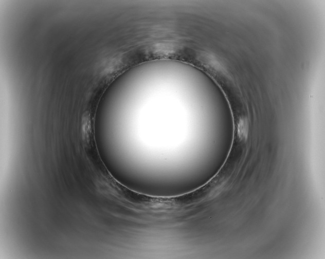 X0000086931299200704301109