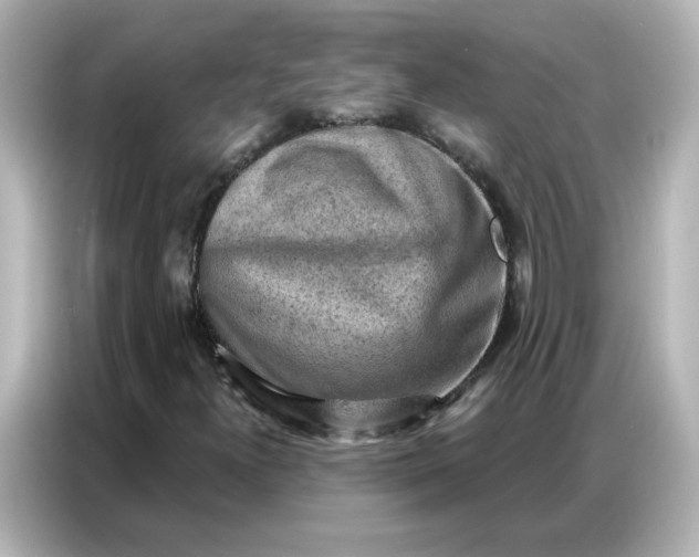 X0000086931300200704301109