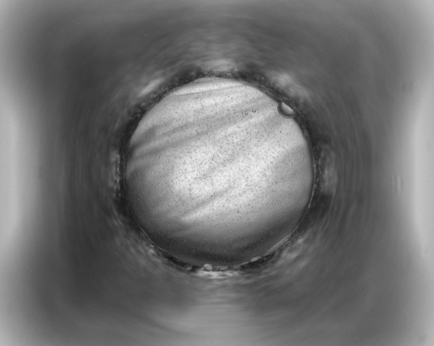 X0000086931301200704301109