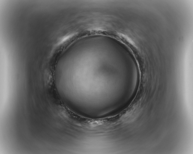 X0000086931303200704301109