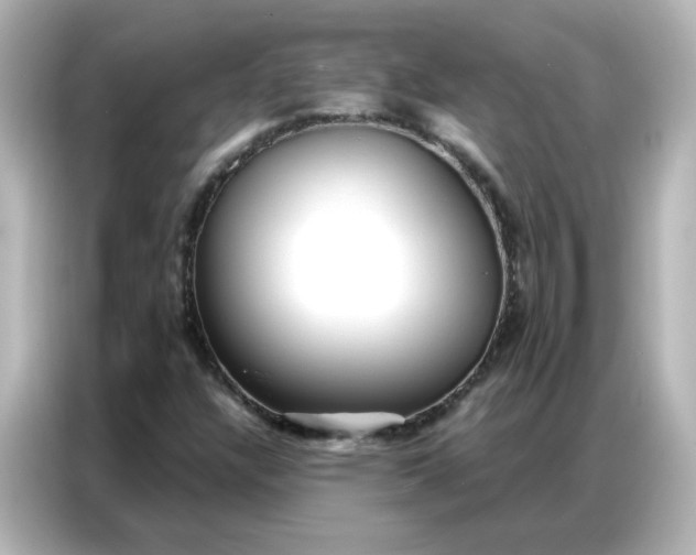 X0000086931304200704301109