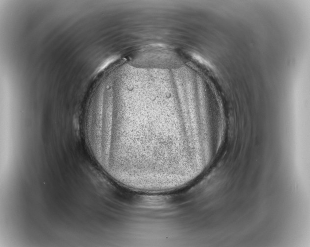 X0000086931305200704301109