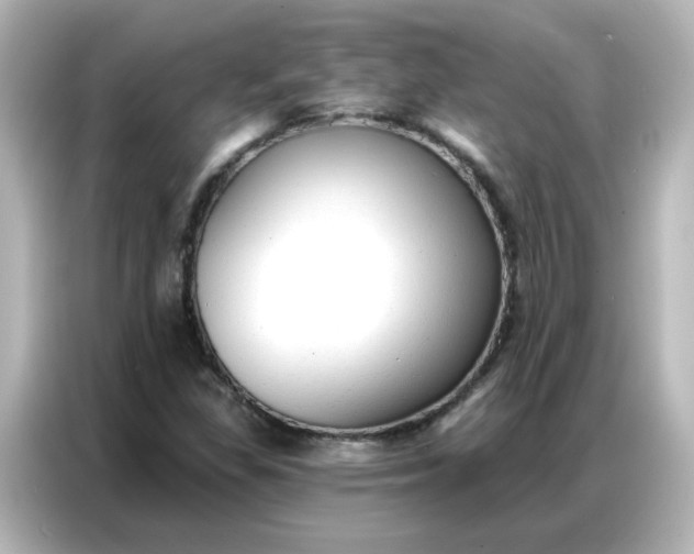 X0000086931309200704301109