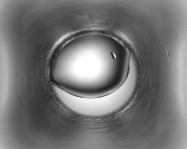 X0000086931310200704301109