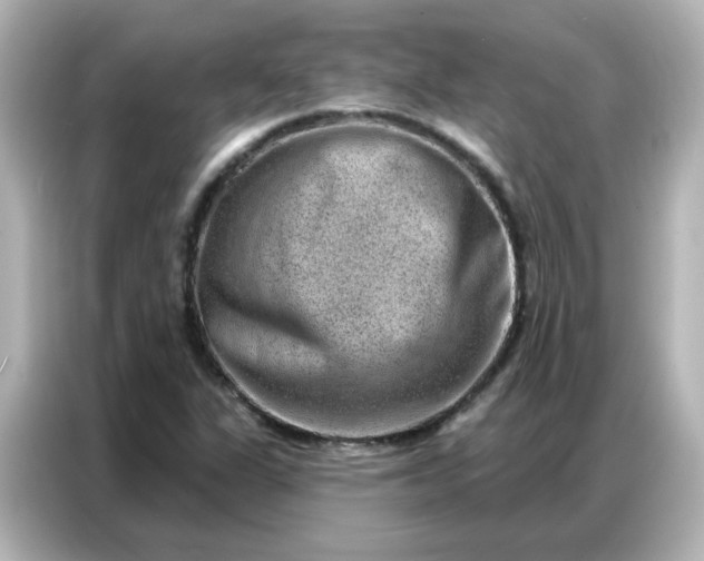 X0000086931311200704301109