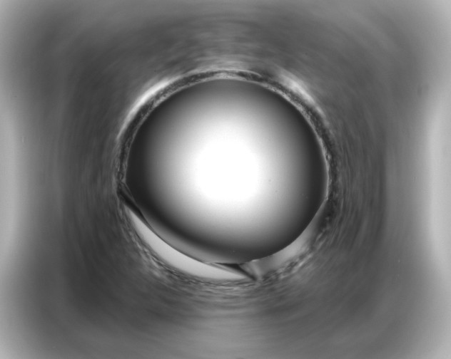 X0000086931312200704301109