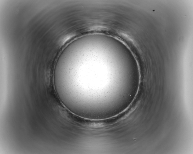 X0000086931313200704301109