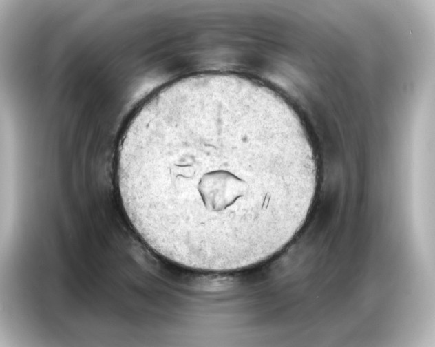 X0000086931314200704301109