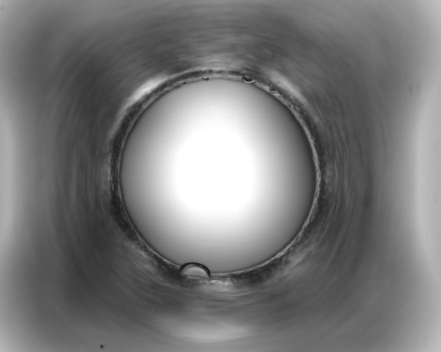 X0000086931315200704301109