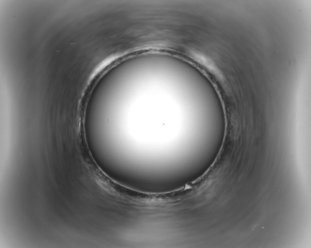 X0000086931316200704301109