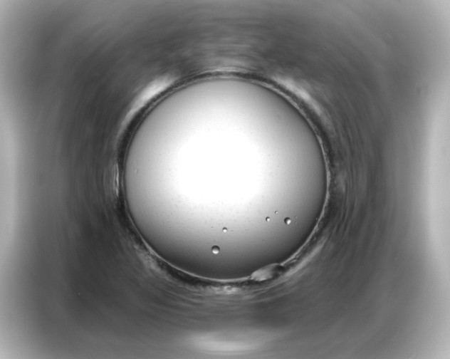 X0000086931317200704301109