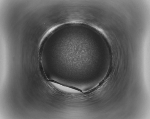 X0000086931319200704301109