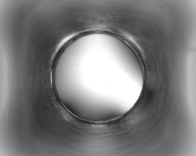 X0000086931320200704301109