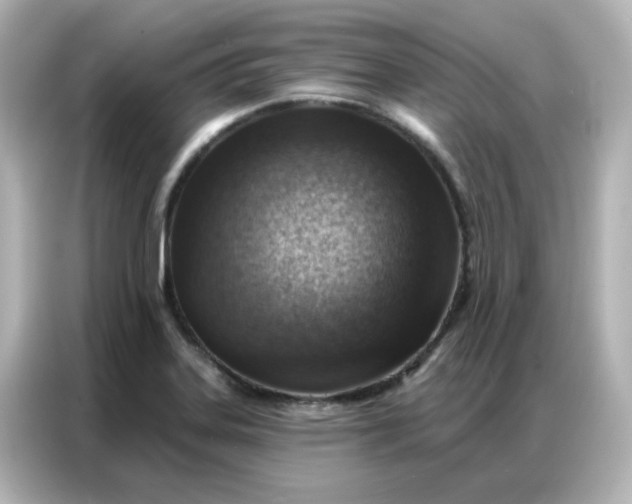 X0000086931323200704301109