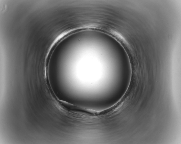 X0000086931324200704301109