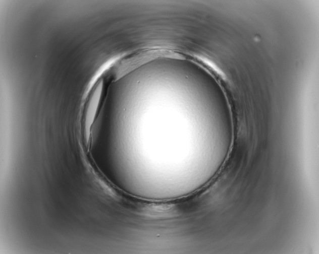 X0000086931325200704301109