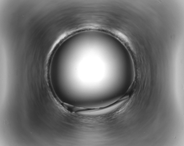 X0000086931326200704301109