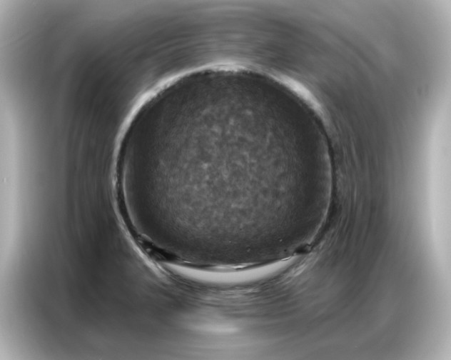 X0000086931327200704301109