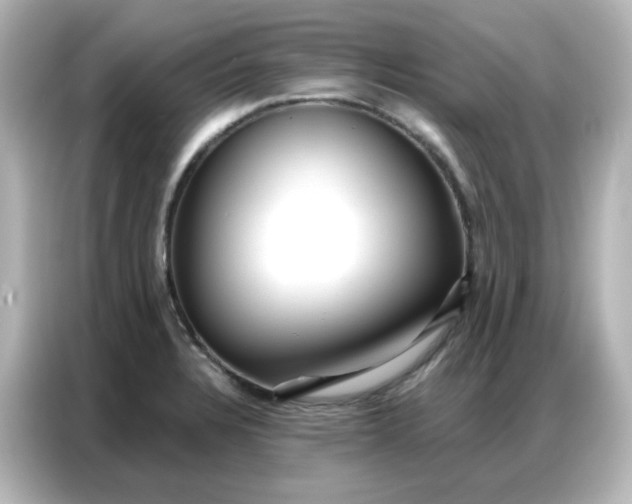 X0000086931328200704301109