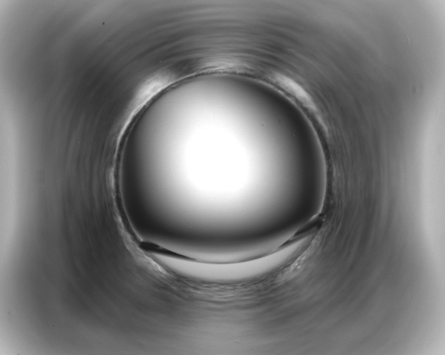 X0000086931330200704301109