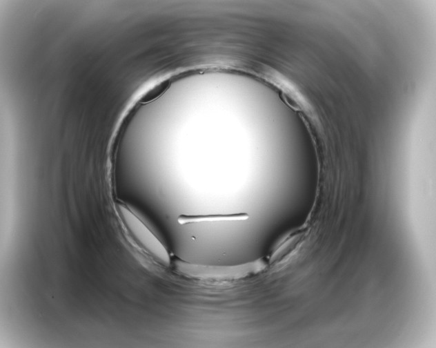 X0000086931332200704301109