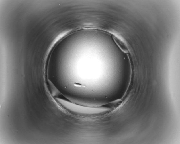 X0000086931333200704301109