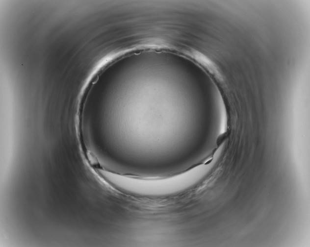 X0000086931334200704301109