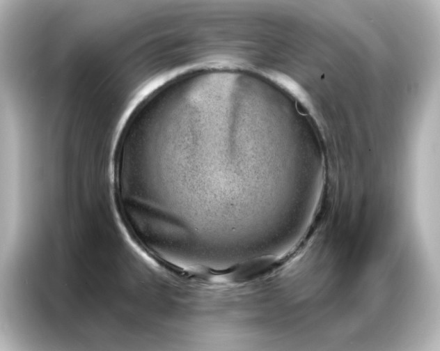 X0000086931335200704301109